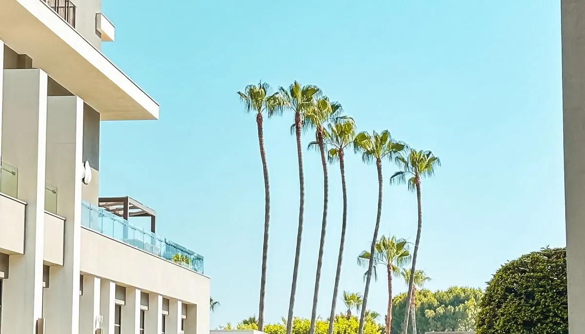 Luxurious hotel exterior with palm trees