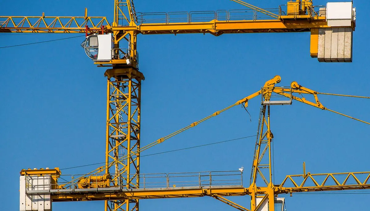 Yellow cranes